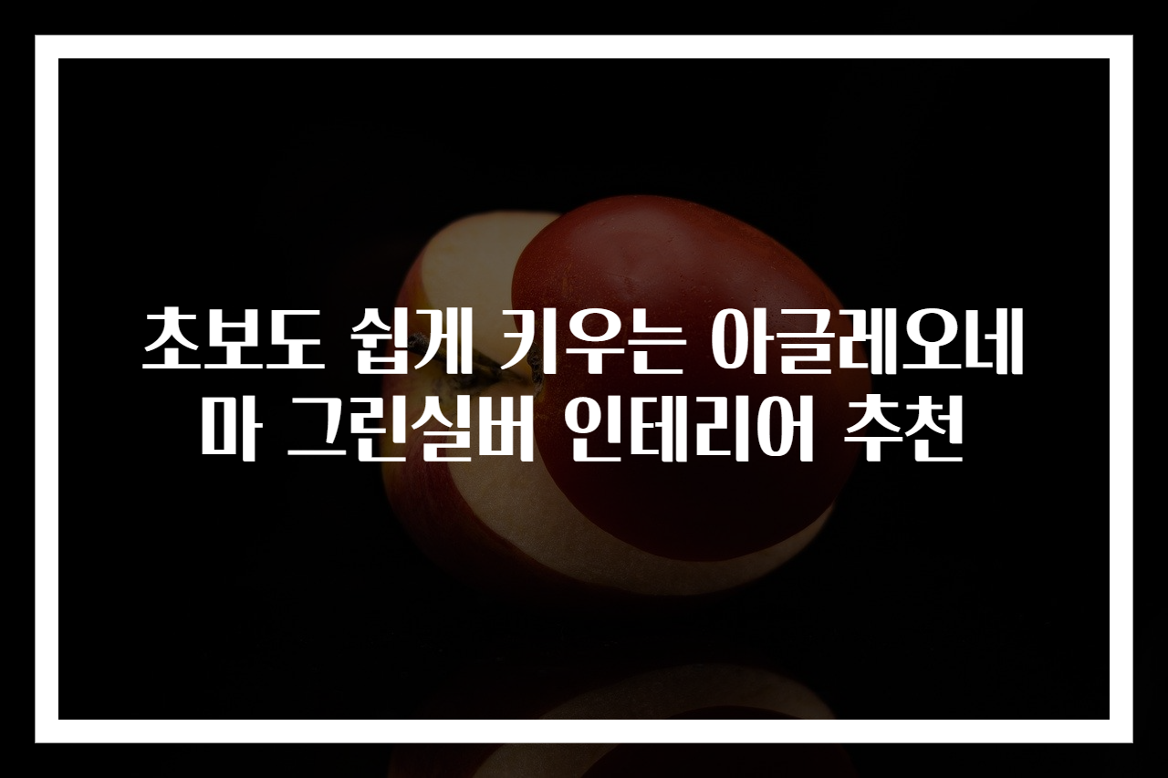 초보도 쉽게 키우는 아글레오네마 그린실버 인테리어 추천