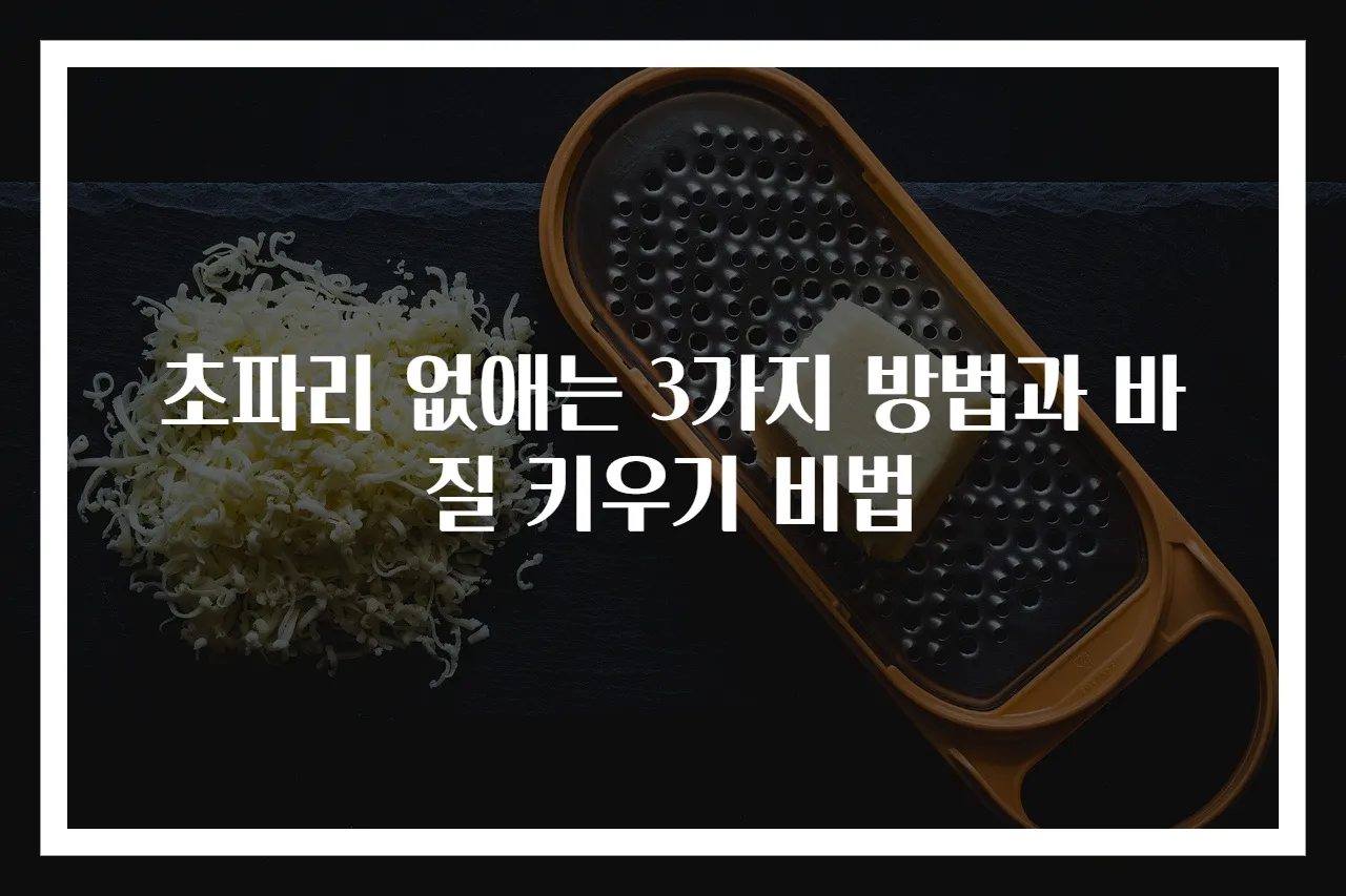 초파리 없애는 3가지 방법과 바질 키우기 비법