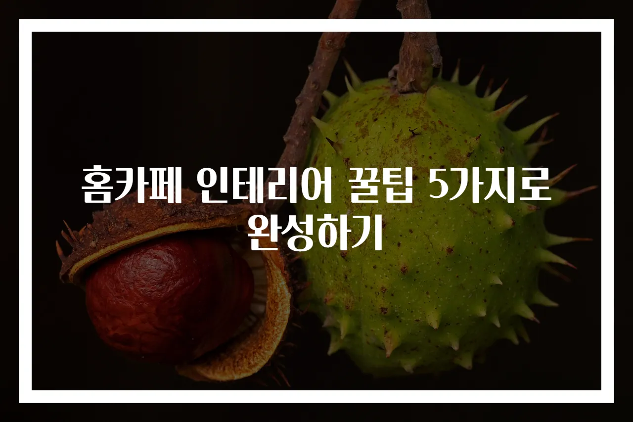 홈카페 인테리어 꿀팁 5가지로 완성하기